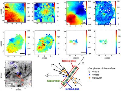 Negative and Positive Outflow-Feedback in Nearby (U)LIRGs